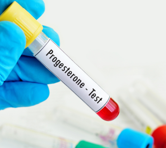 Progesterona